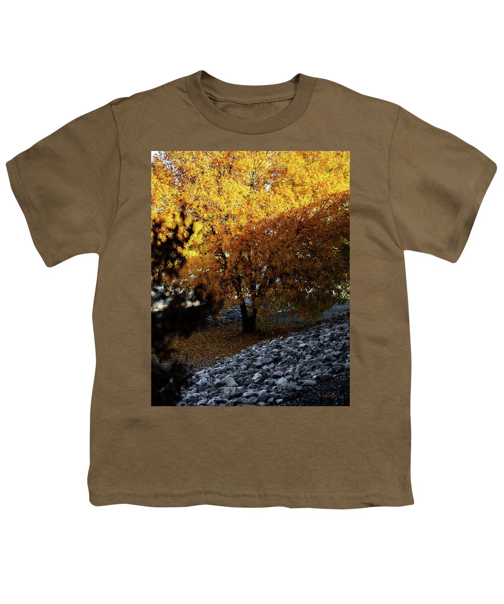 December in Arizona - Youth T-Shirt