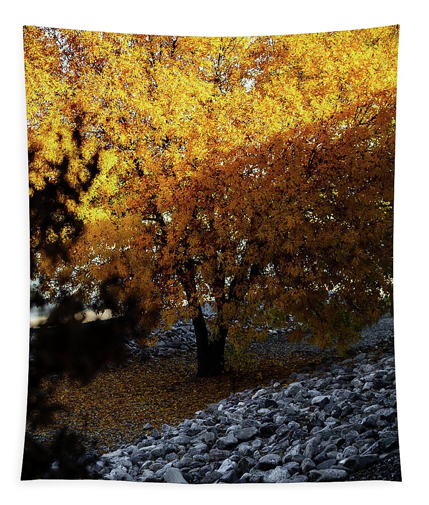 December in Arizona - Tapestry