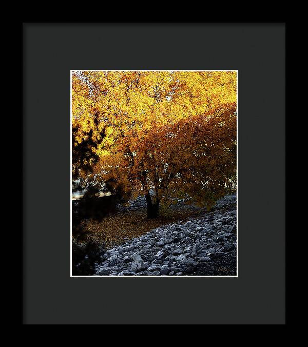 December in Arizona - Framed Print