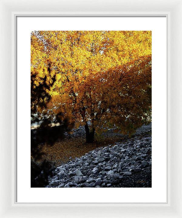 December in Arizona - Framed Print