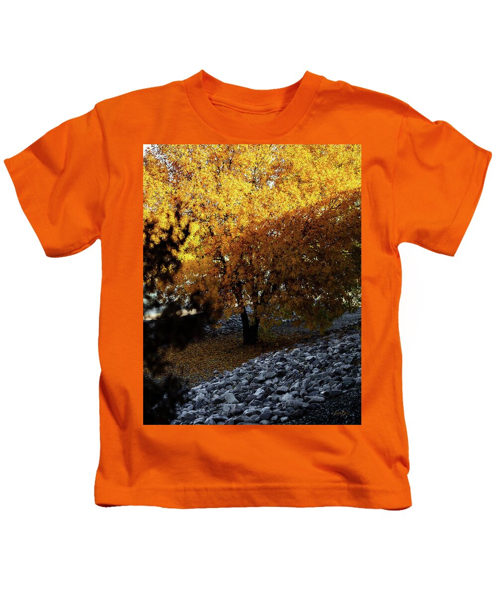 December in Arizona - Kids T-Shirt