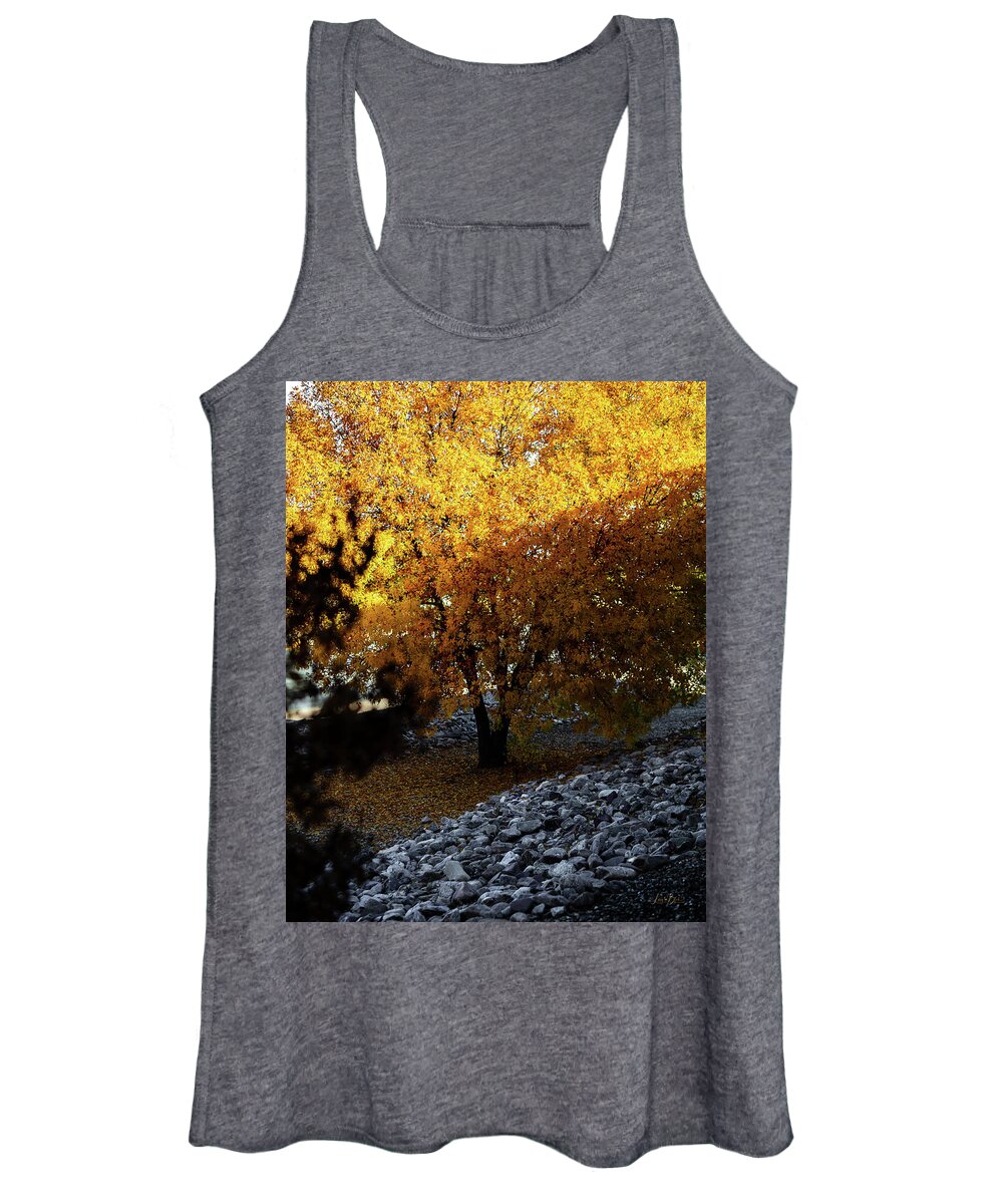 December in Arizona - Women's Tank Top