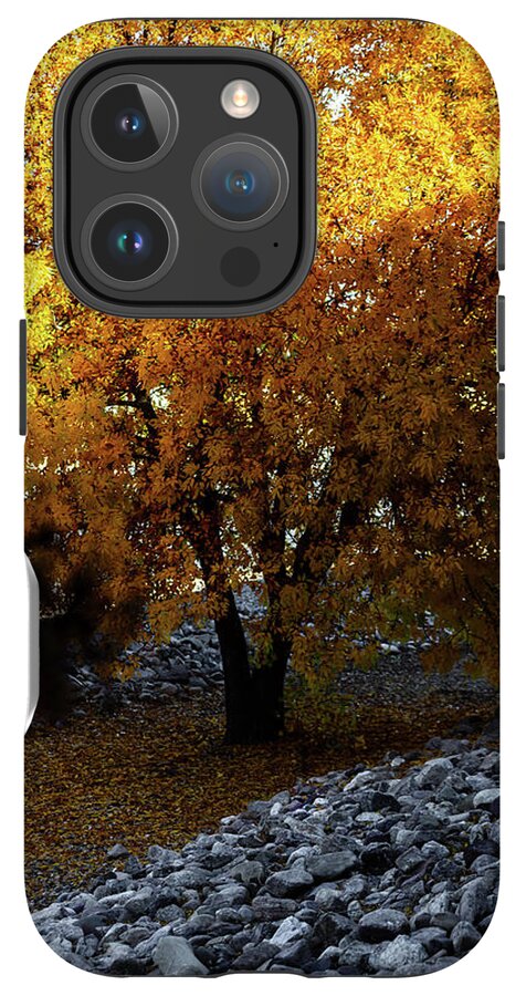 December in Arizona - Phone Case