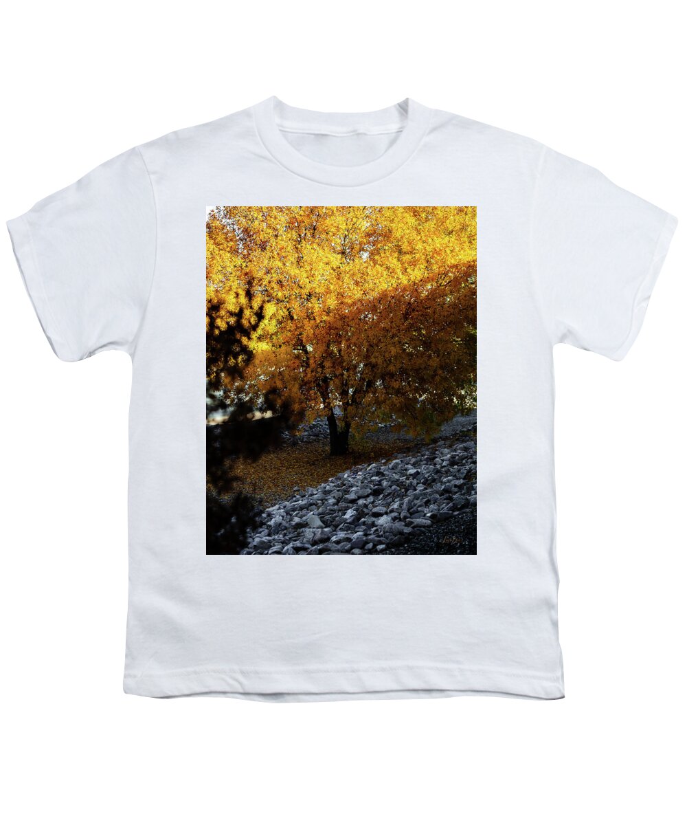 December in Arizona - Youth T-Shirt
