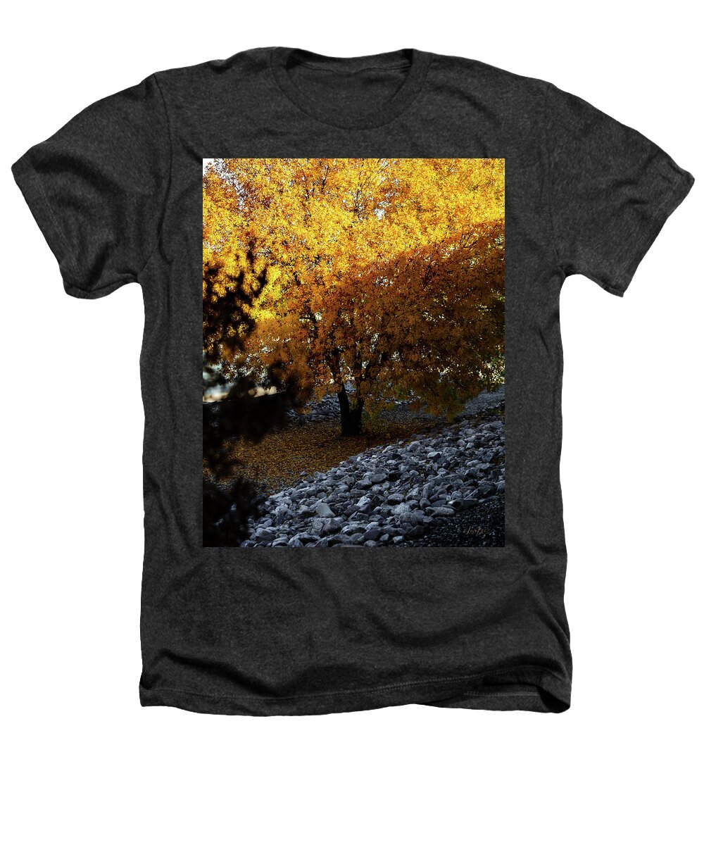 December in Arizona - Heathers T-Shirt