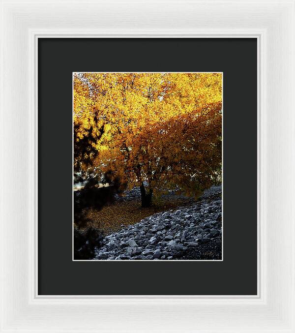 December in Arizona - Framed Print