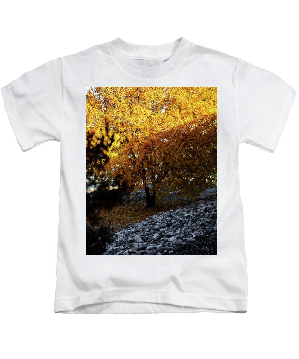 December in Arizona - Kids T-Shirt