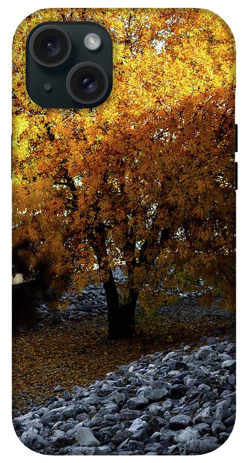 December in Arizona - Phone Case