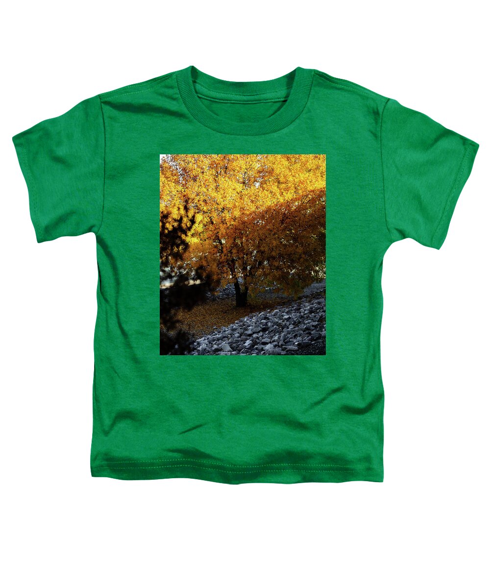 December in Arizona - Toddler T-Shirt