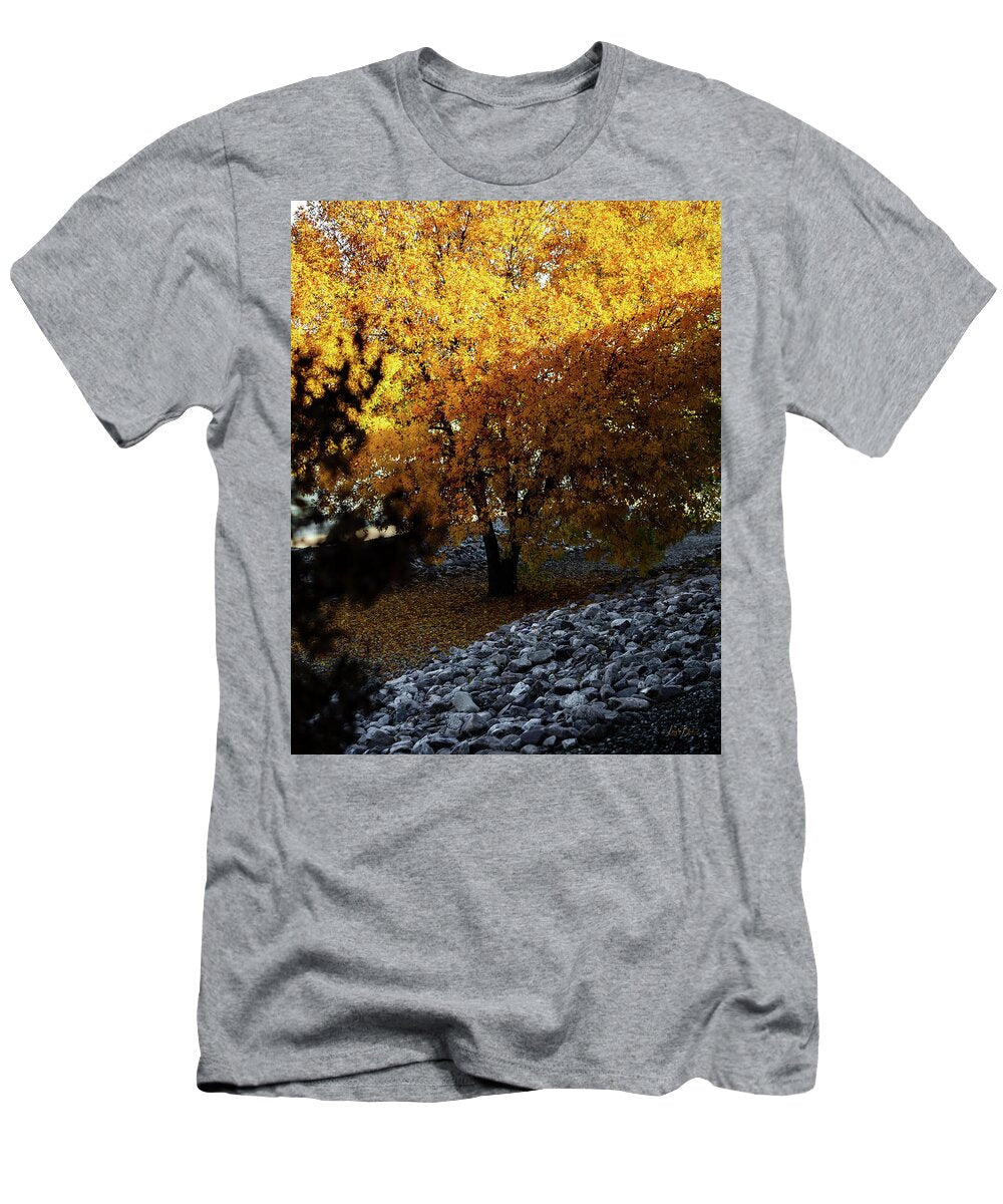 December in Arizona - T-Shirt