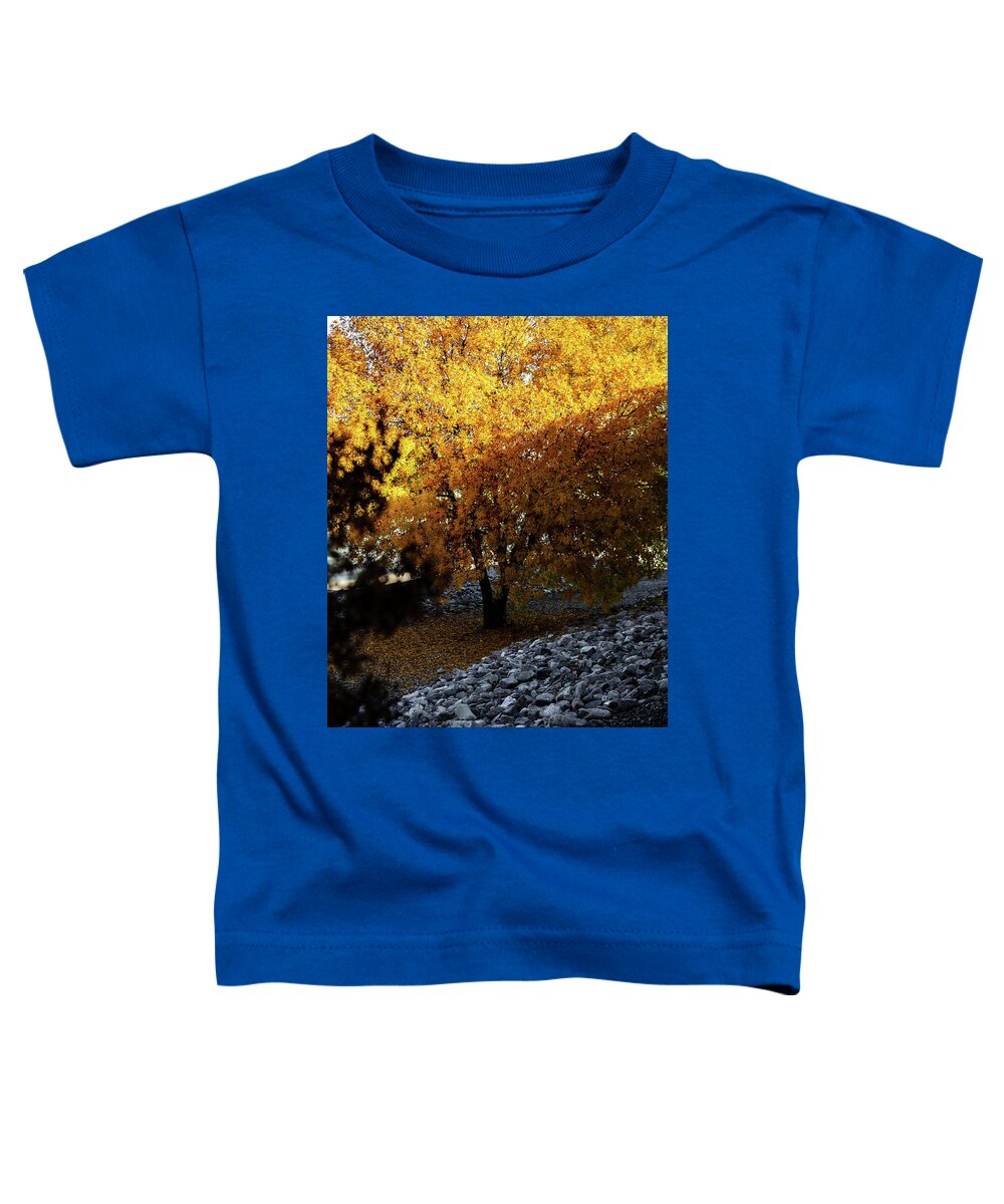 December in Arizona - Toddler T-Shirt