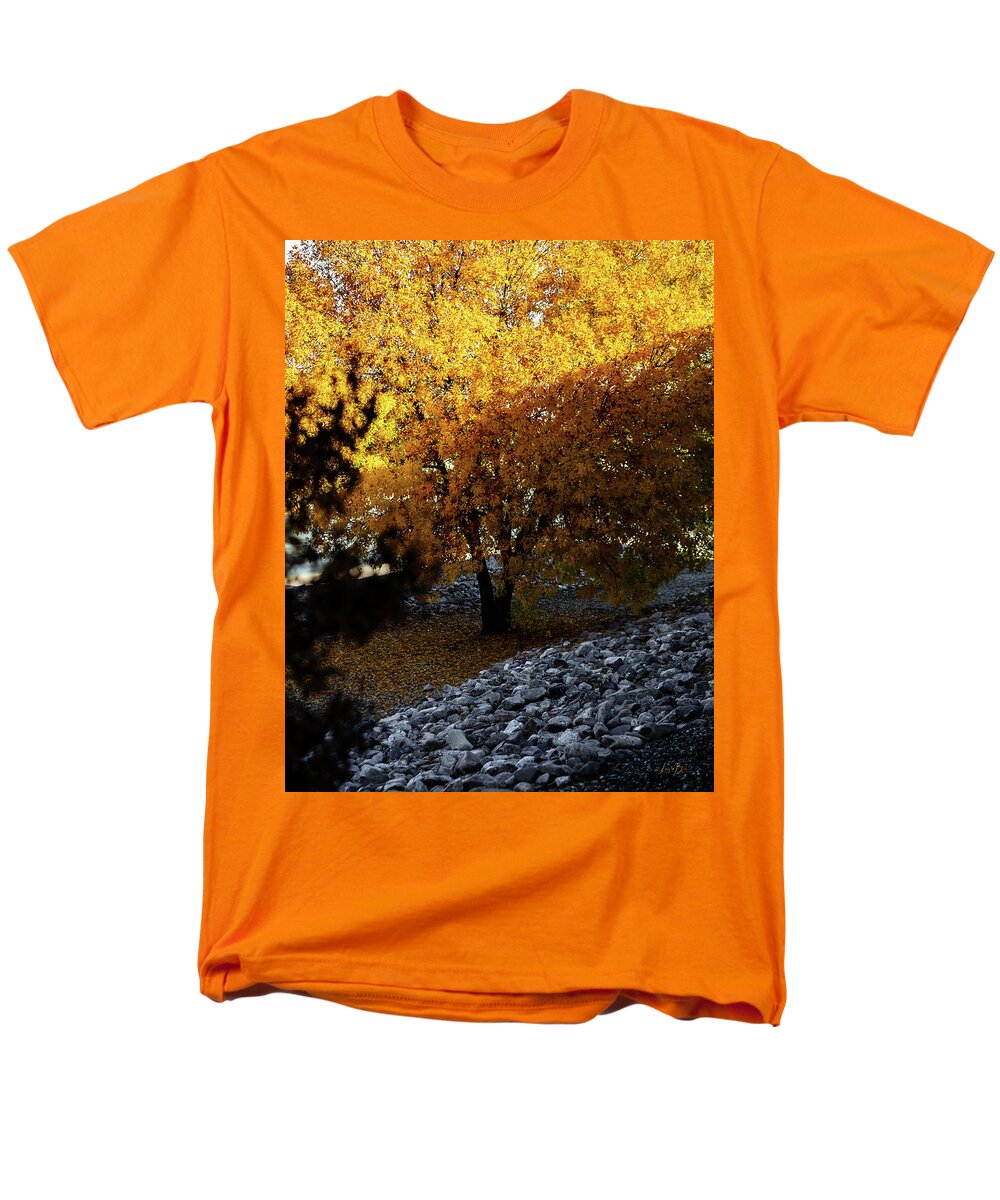 December in Arizona - Men's T-Shirt  (Regular Fit)