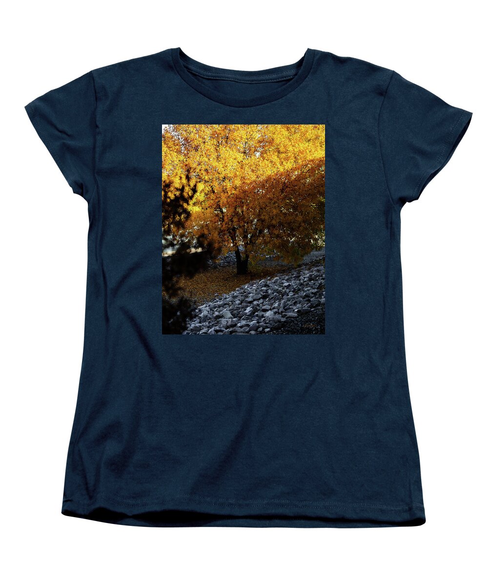 December in Arizona - Women's T-Shirt (Standard Fit)