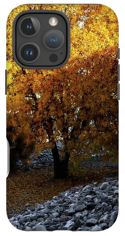 December in Arizona - Phone Case