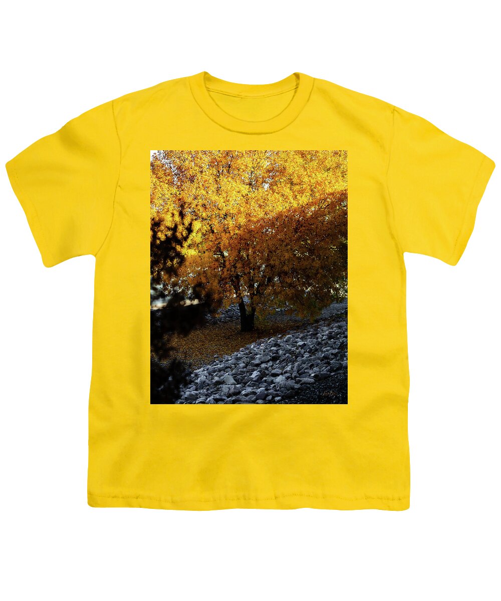 December in Arizona - Youth T-Shirt