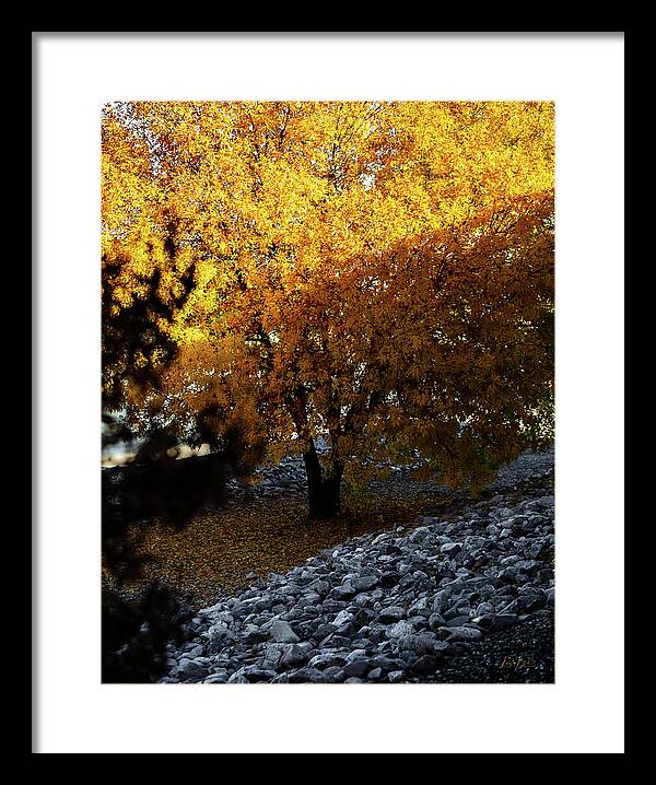 December in Arizona - Framed Print