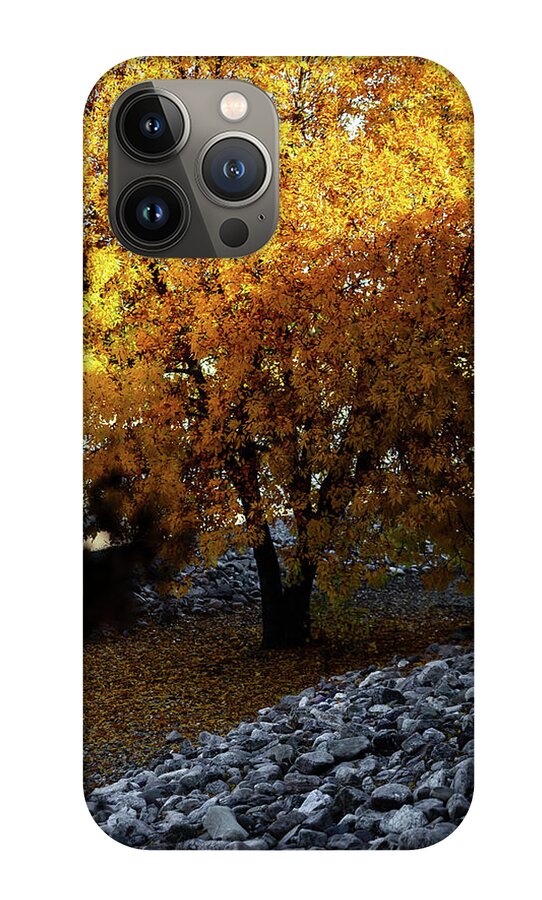 December in Arizona - Phone Case