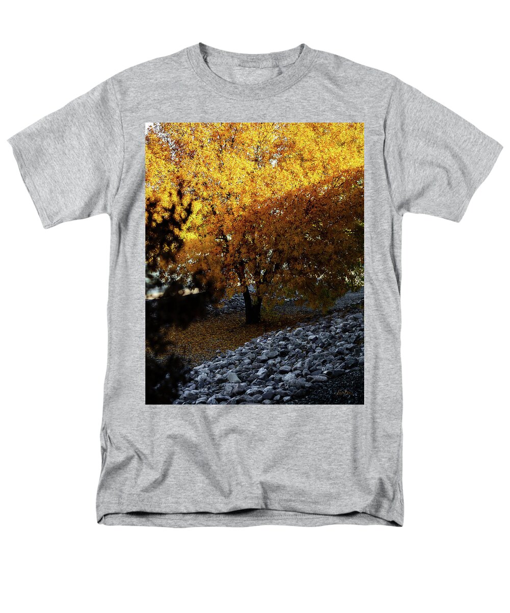 December in Arizona - Men's T-Shirt  (Regular Fit)
