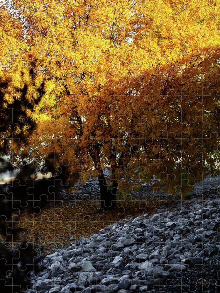December in Arizona - Puzzle