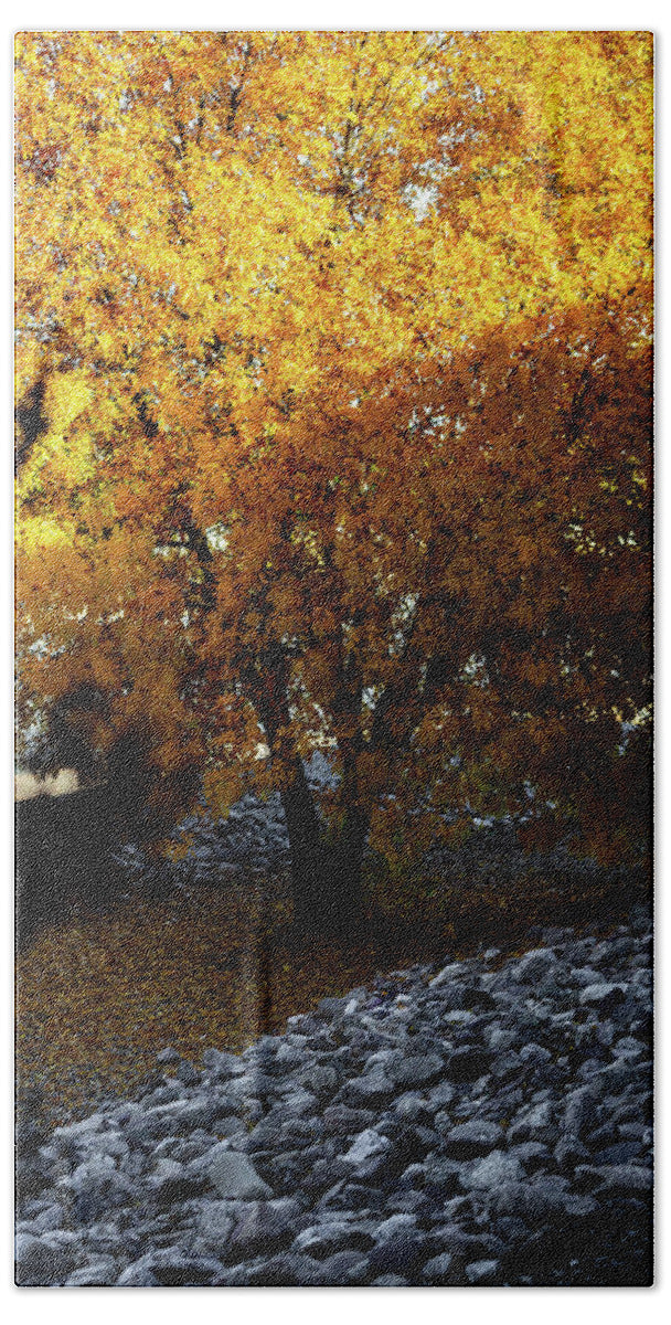 December in Arizona - Bath Towel