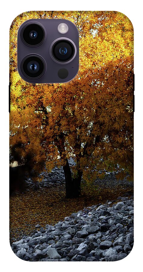 December in Arizona - Phone Case