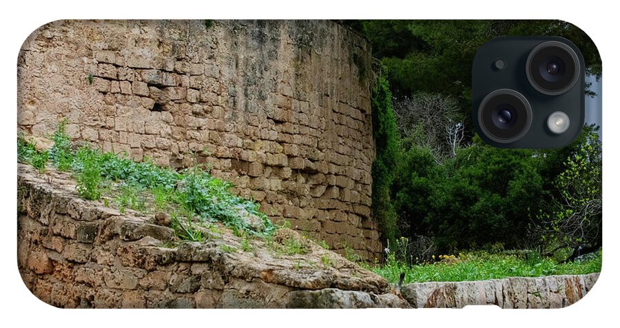 Spain Castle III - Phone Case