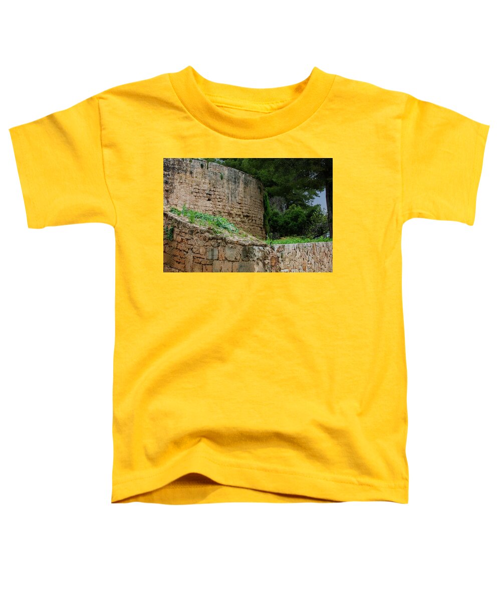 Spain Castle III - Toddler T-Shirt