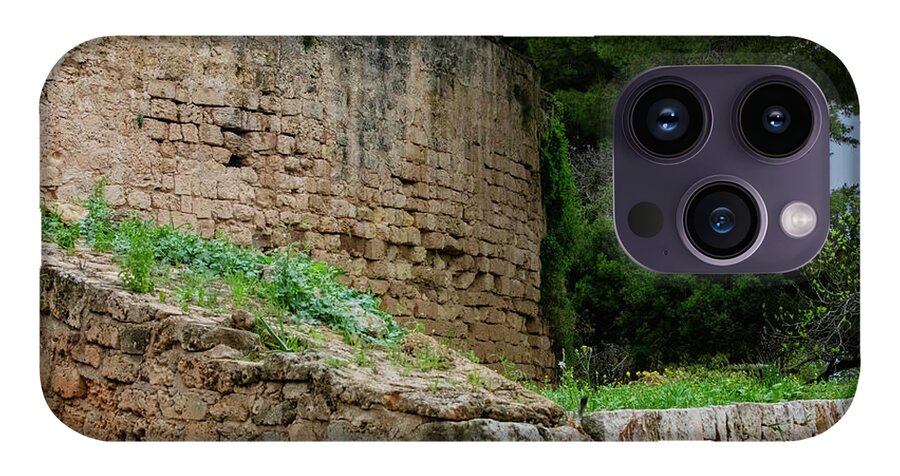 Spain Castle III - Phone Case