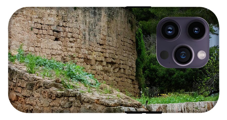 Spain Castle III - Phone Case