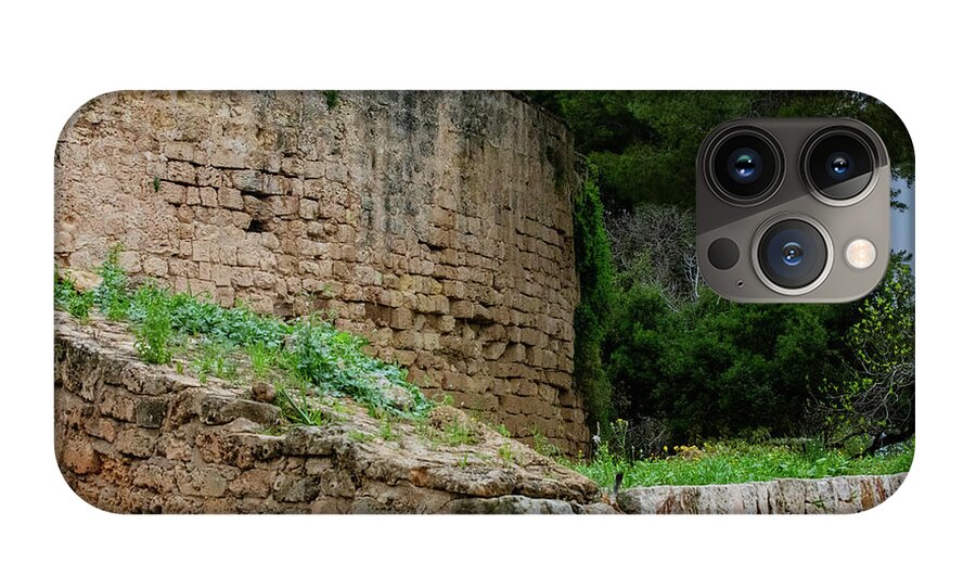 Spain Castle III - Phone Case