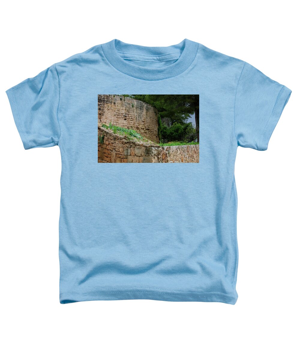 Spain Castle III - Toddler T-Shirt