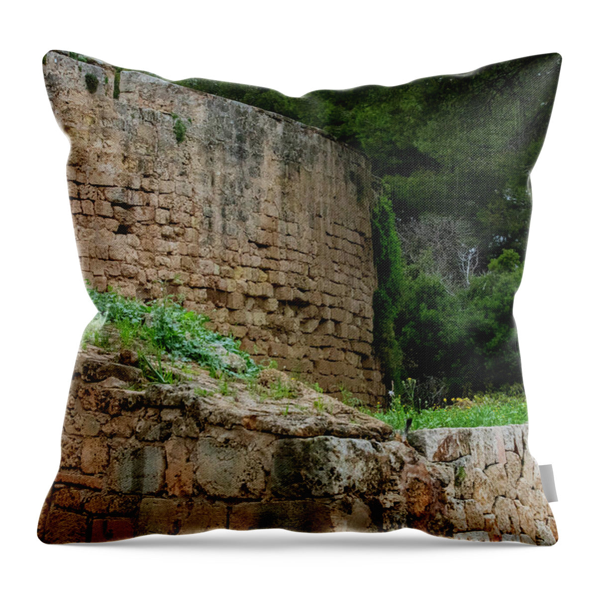 Spain Castle III - Throw Pillow