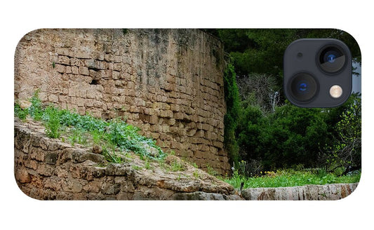 Spain Castle III - Phone Case