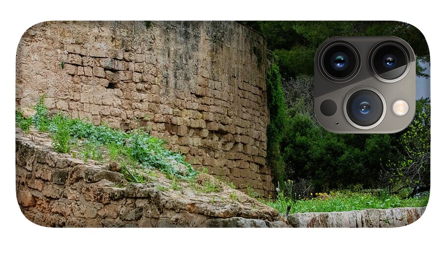 Spain Castle III - Phone Case