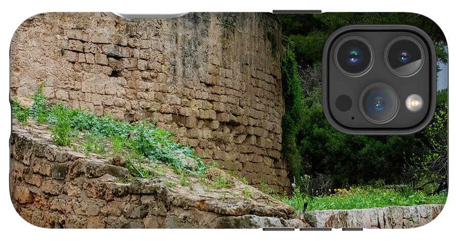 Spain Castle III - Phone Case