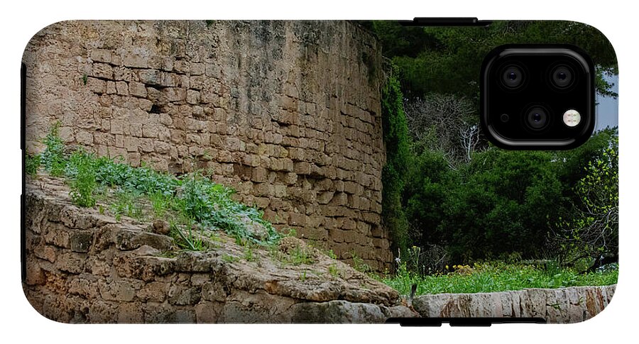 Spain Castle III - Phone Case