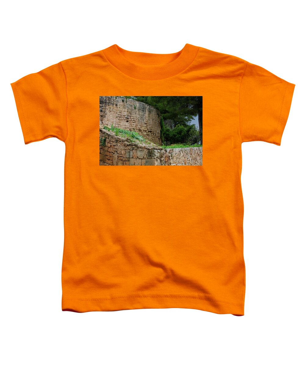 Spain Castle III - Toddler T-Shirt