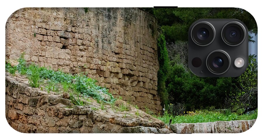 Spain Castle III - Phone Case