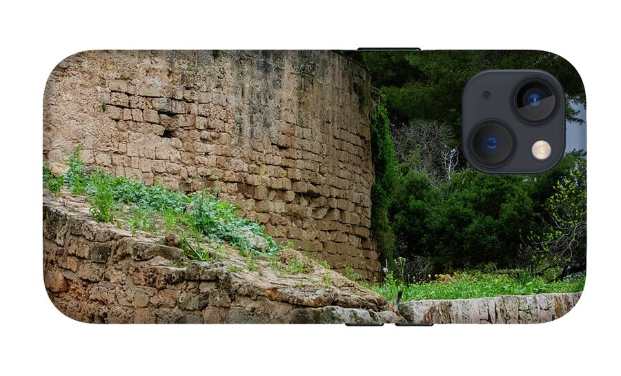 Spain Castle III - Phone Case