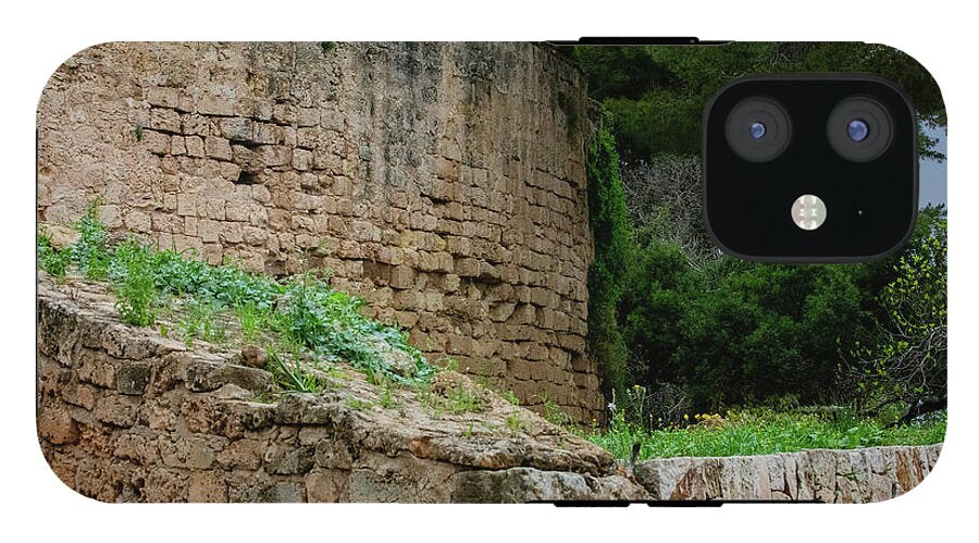 Spain Castle III - Phone Case