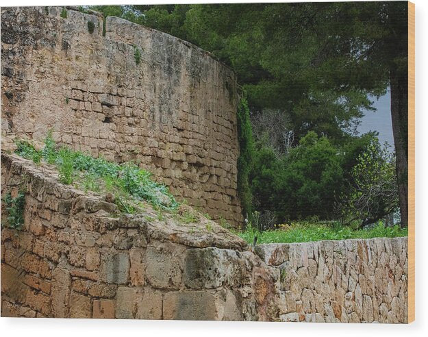 Spain Castle III - Wood Print