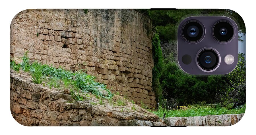 Spain Castle III - Phone Case