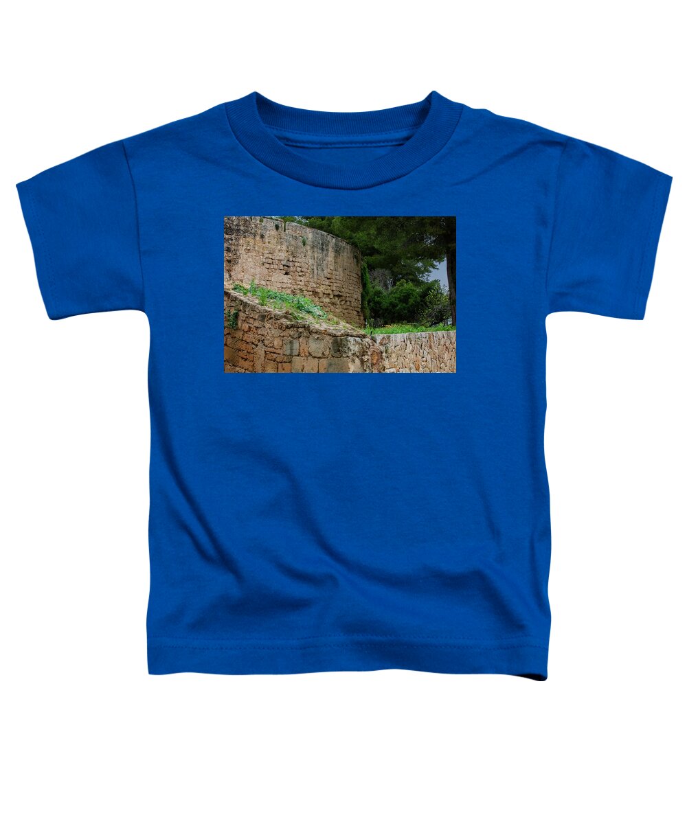 Spain Castle III - Toddler T-Shirt