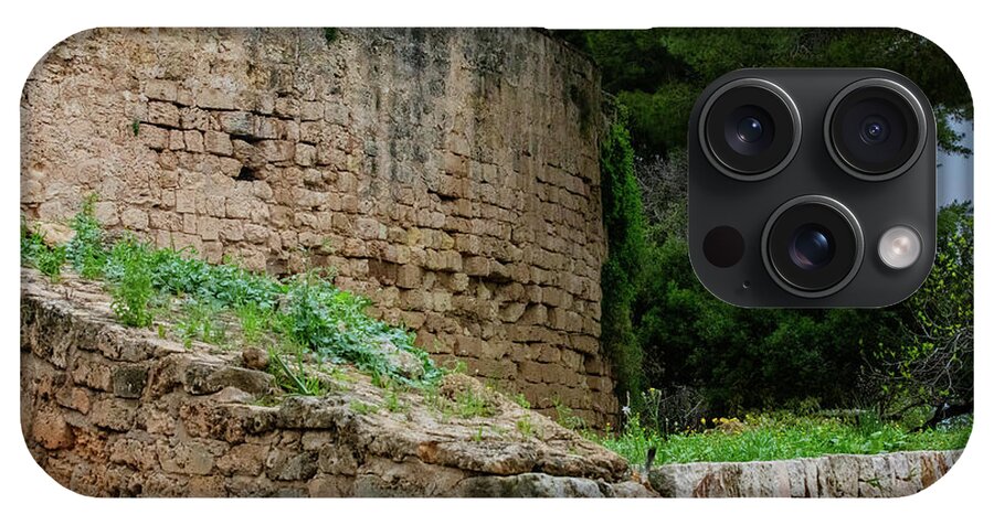 Spain Castle III - Phone Case