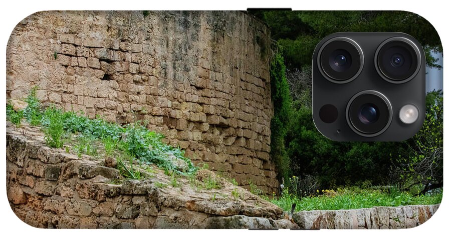 Spain Castle III - Phone Case