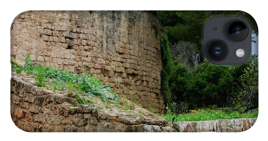 Spain Castle III - Phone Case