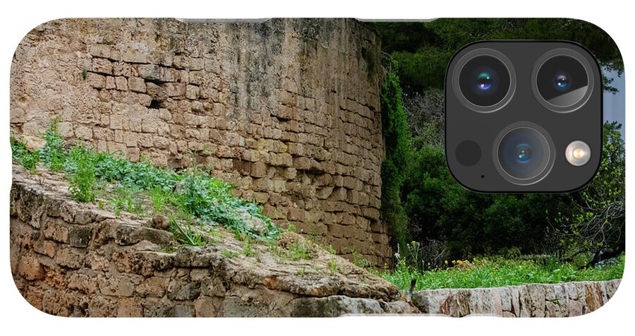 Spain Castle III - Phone Case