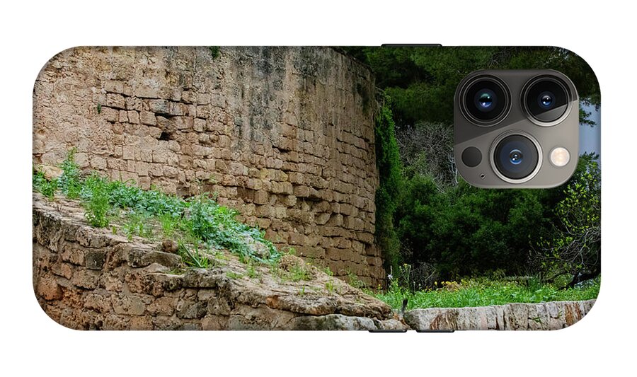 Spain Castle III - Phone Case