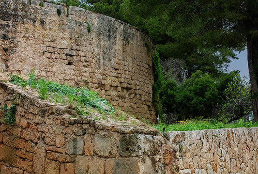 Spain Castle III - Art Print