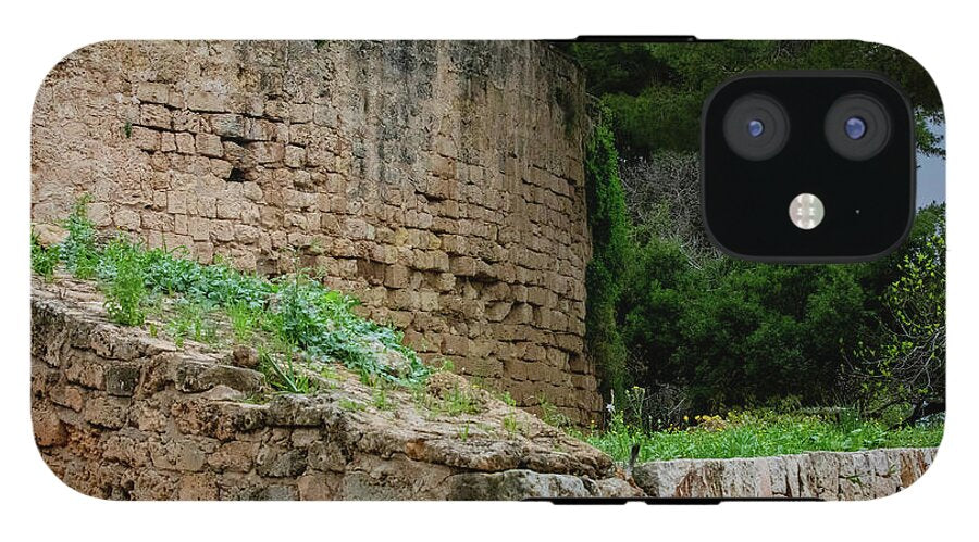 Spain Castle III - Phone Case